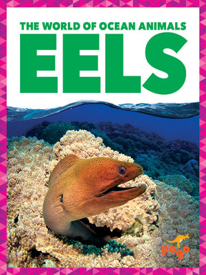 cover image of Eels